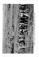 ilives:195274-p_52.jpg