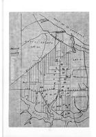 ilives:195274-z_2.jpg