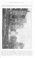 ilives:208685-00007-p_12.jpg