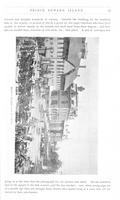 ilives:208685-00011-p_16.jpg