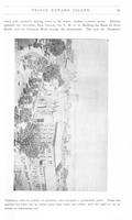 ilives:208685-00017-p_22.jpg