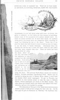 ilives:208685-00041-p_46.jpg
