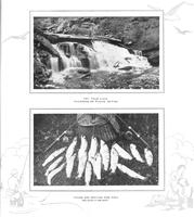 ilives:208693-00007-p_7.jpg