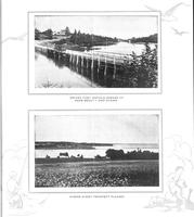ilives:208693-00009-p_9.jpg