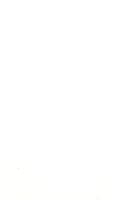 ilives:213767-00096-z_0001-blank_1.jpg