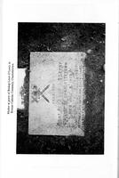 ilives:229228-p_41.jpg