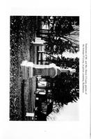 ilives:229228-p_42.jpg