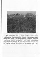 ilives:243844-z_7.jpg