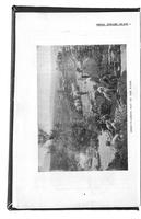 ilives:253974-p_5.jpg
