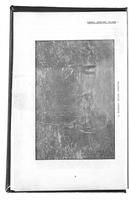 ilives:253974-p_7.jpg