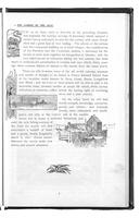 ilives:253974-p_8.jpg