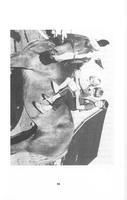 ilives:257167-p_94.jpg