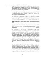 ilives:266852-2b-00085-p_82.jpg