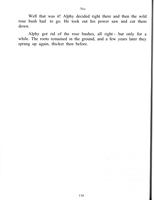 ilives:268453-p_135.jpg
