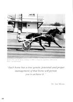 ilives:609691-00000-p_19.jpg