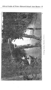 44771-Thumbnail Image.jpg