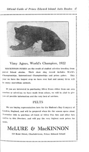 44916-Thumbnail Image.jpg