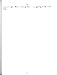 45044-Thumbnail Image.jpg